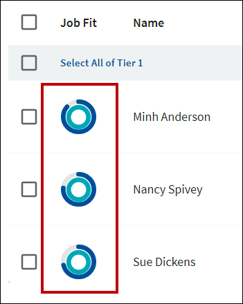 Example Job Fit indicators